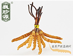 xĲ2.2l/ ڲ x؛r(ji)286Ԫ/