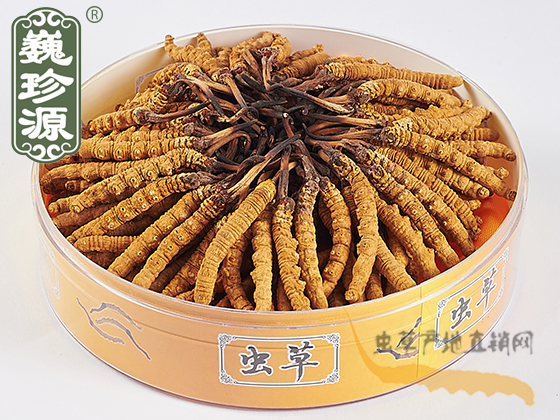 xĲ^ڲ,x^xĲ^ݣx^ڲΡԴx^3l/