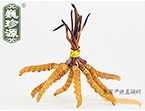 x(chng)Ĳ2.5l/ ڲ x؛r(ji)252Ԫ/